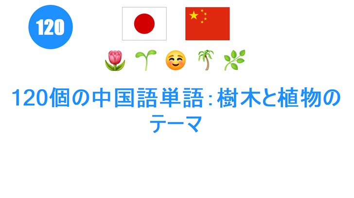 120個の中国語単語：樹木と植物のテーマ